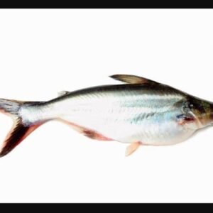 Indian Basa with bone (1 kg)