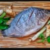 Catla fish (1.to120 gm)