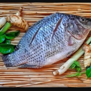 Catla fish (1.to120 gm)